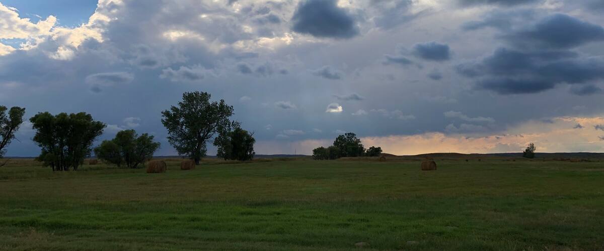 A field with hay bales and trees under a cloudy sky.