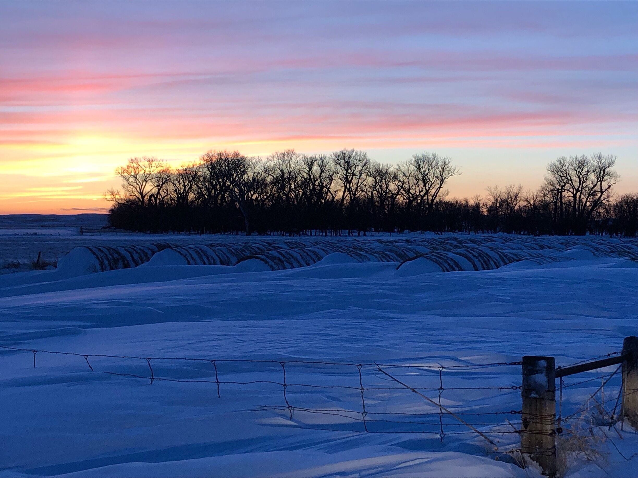 Drifts covering hay bales after the “Bomb Cyclone” blizzard March 13.
