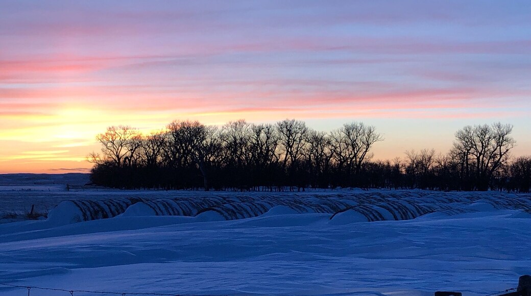 Drifts covering hay bales after the “Bomb Cyclone” blizzard March 13.
