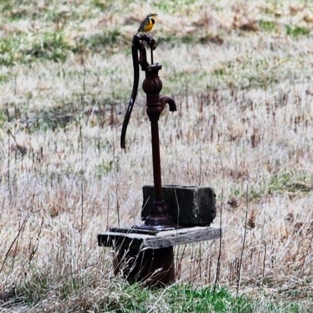 Found this after taking a short walk down a dirt road. 