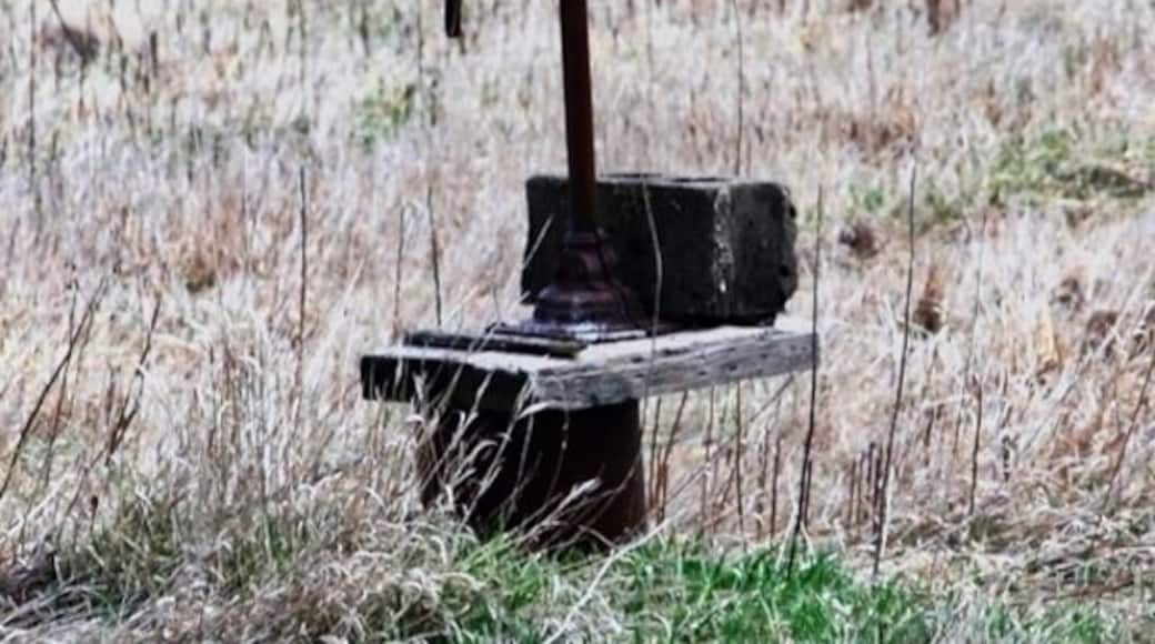 Found this after taking a short walk down a dirt road.