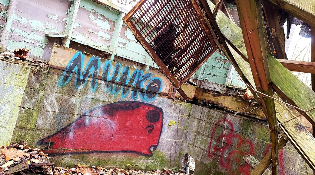 Red whale tucked away inside an abandoned building