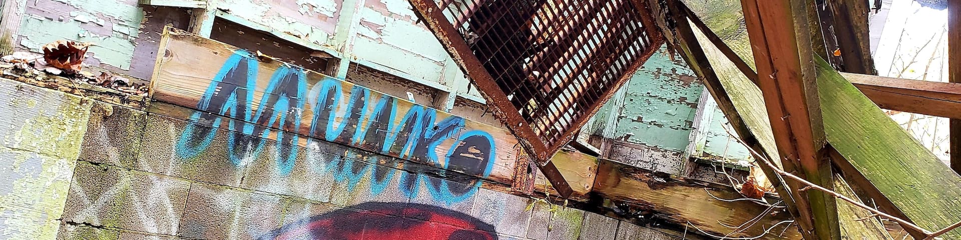 Red whale tucked away inside an abandoned building