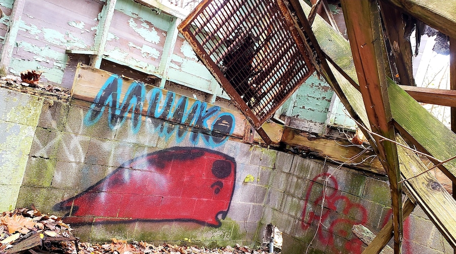 Red whale tucked away inside an abandoned building