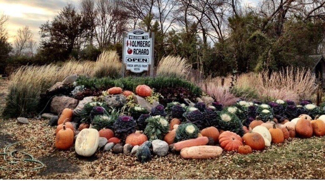 Apple Orchard in Southern Minnesota