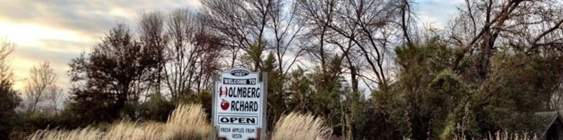Apple Orchard in Southern Minnesota