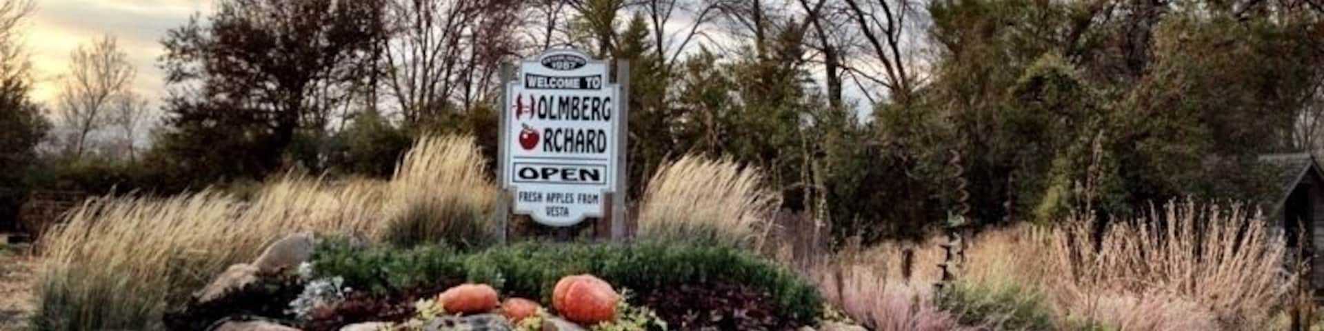 Apple Orchard in Southern Minnesota