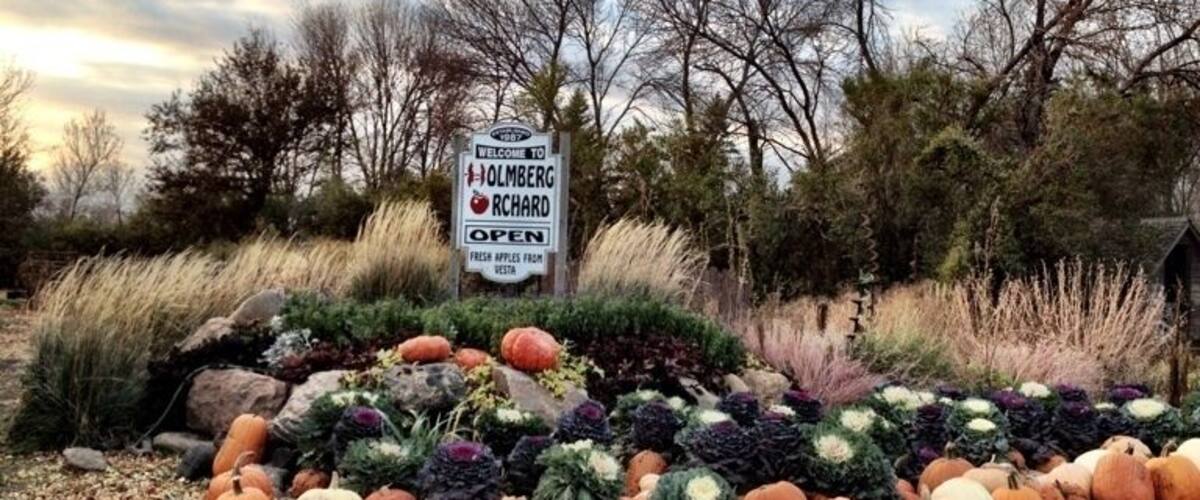 A sign for a farm stand with pumpkins and a garden display.