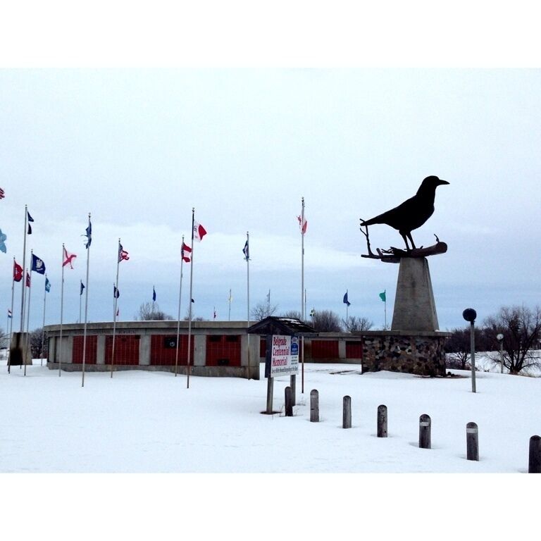 The world's largest crow!
#snow