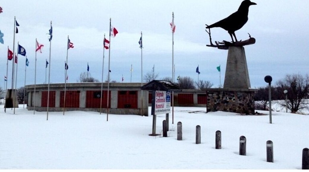 The world's largest crow!
#snow