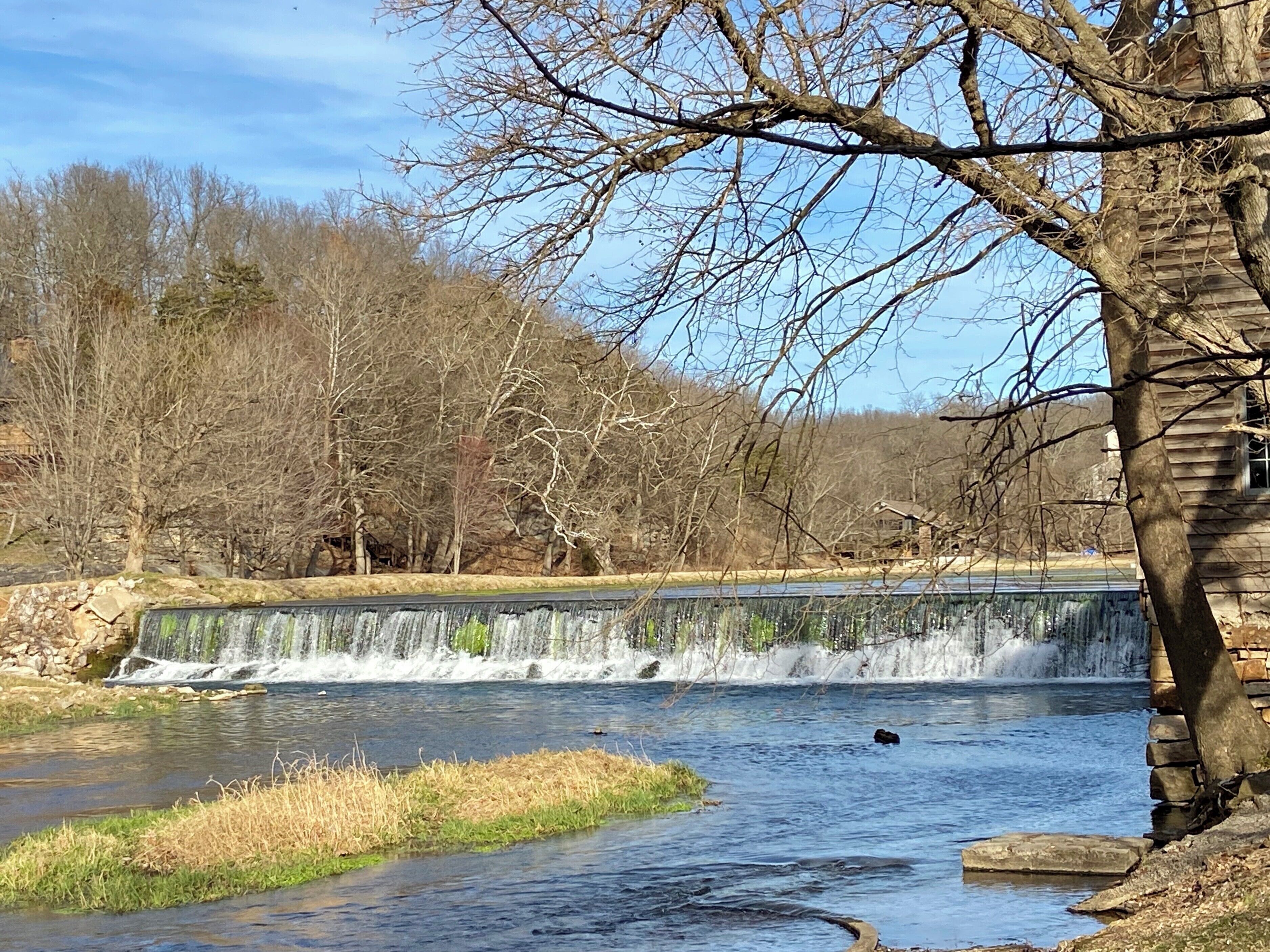 A waterfall, a river, and a tree.