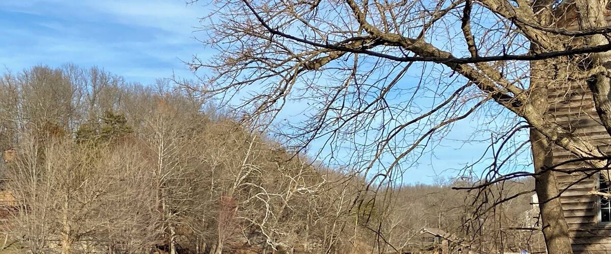 A waterfall, a river, and a tree.