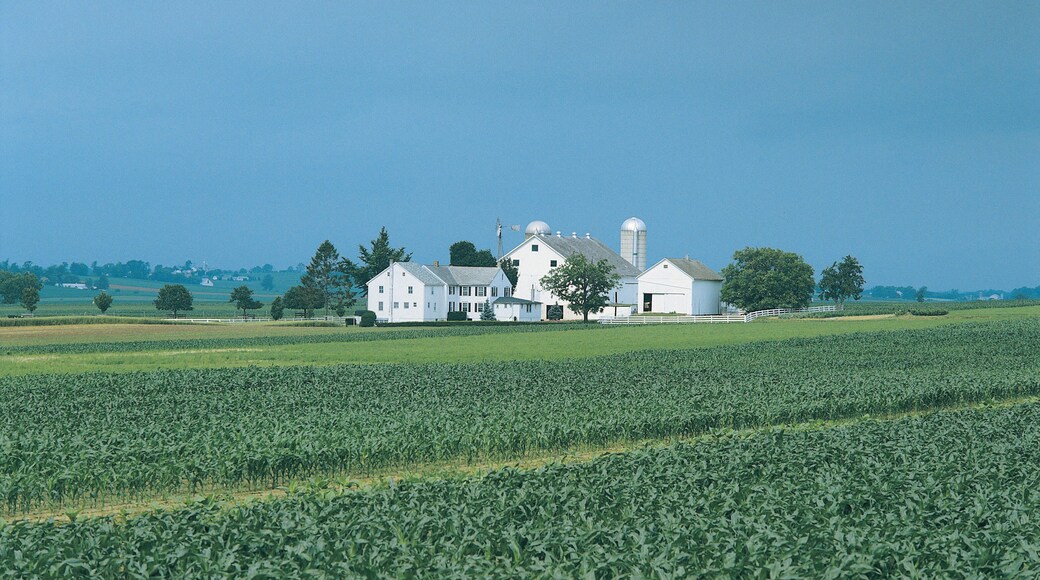 Farmland, Lancaster County, Pennslyvania, USA