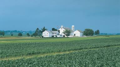 Farmland, Lancaster County, Pennslyvania, USA