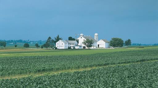 Farmland, Lancaster County, Pennslyvania, USA