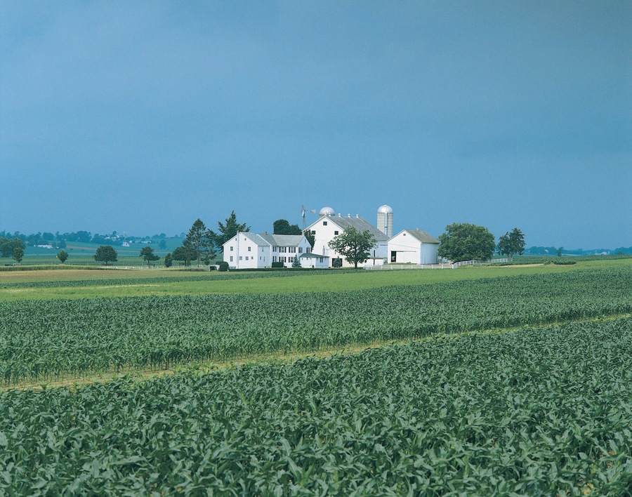 Farmland, Lancaster County, Pennslyvania, USA