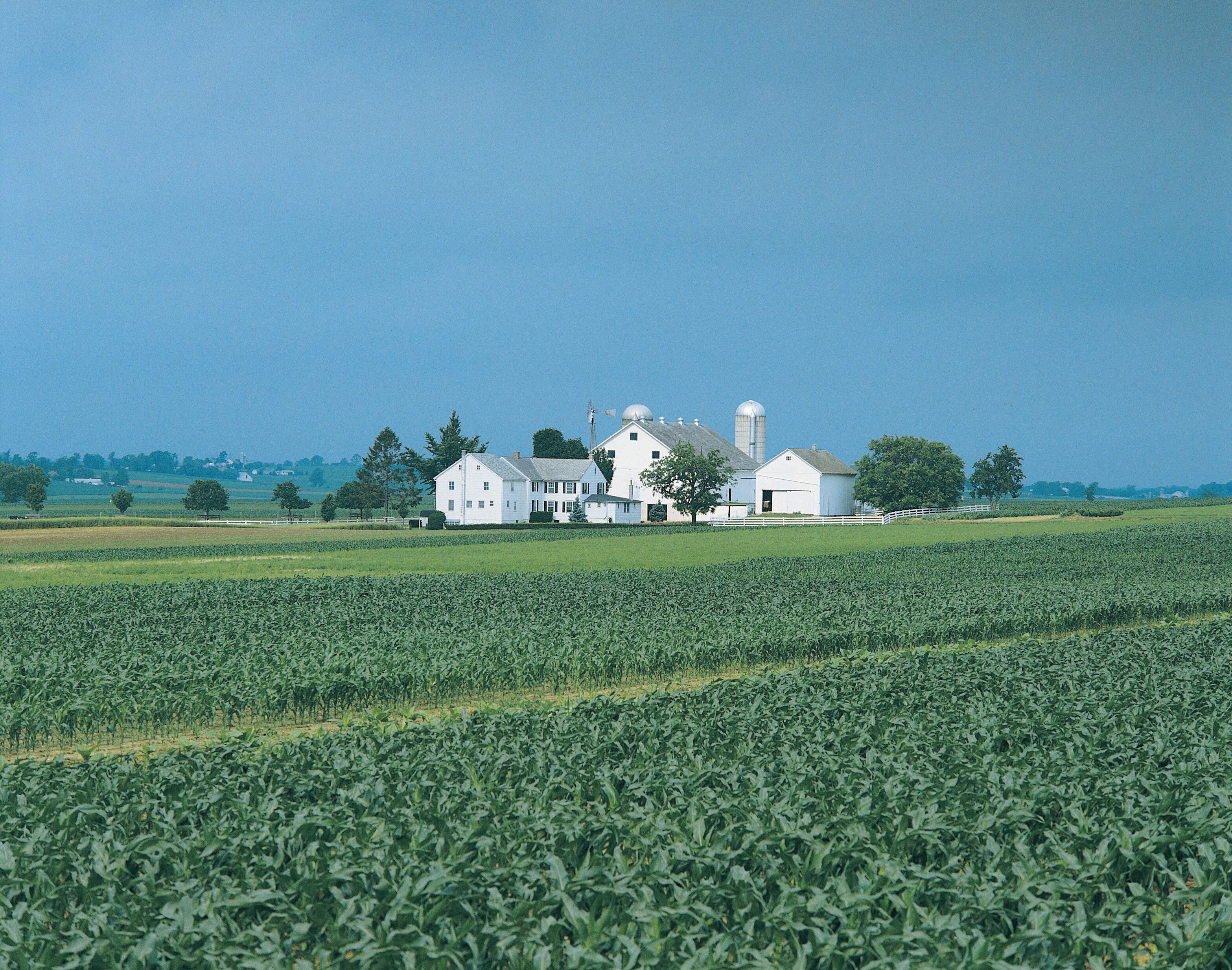 A large white farm with barns and a silo in a green field.