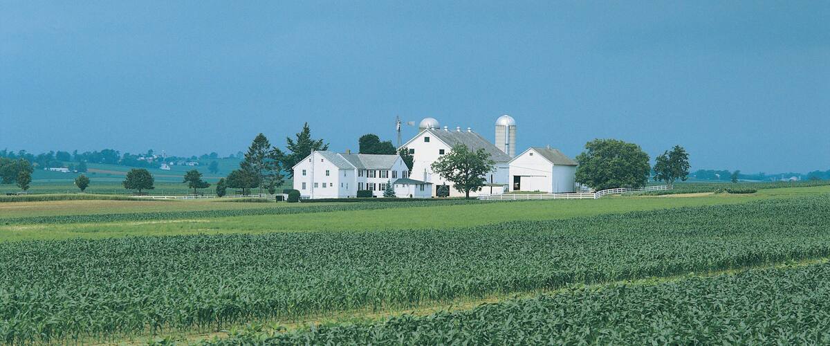 A large white farm with barns and a silo in a green field.