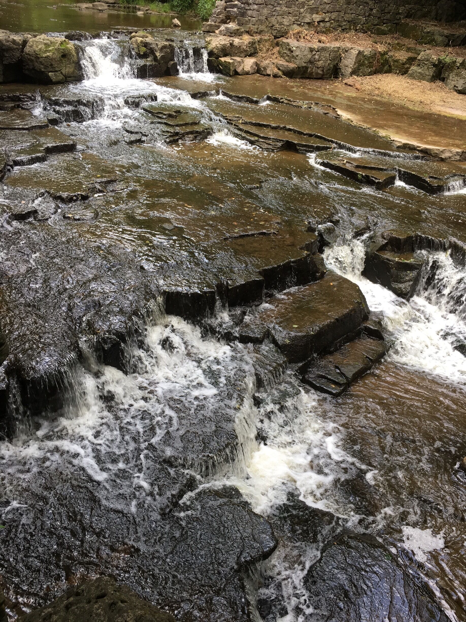 Cool little waterfall at a campground