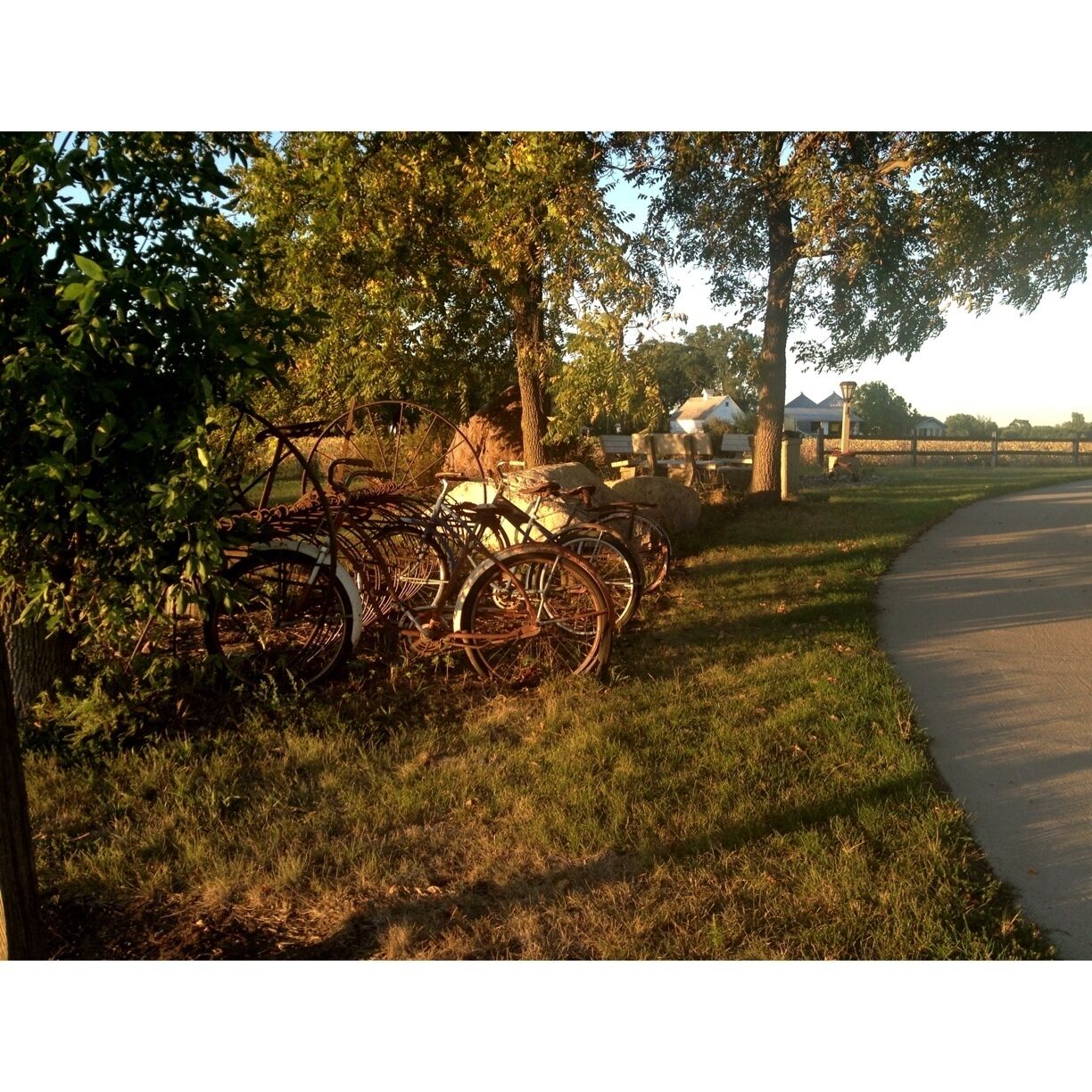 Rustic bikes from an age gone by are just some of the artwork showcased along the trail.