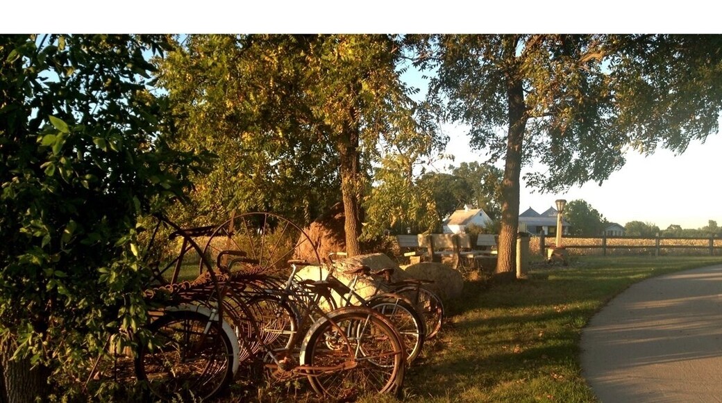 Rustic bikes from an age gone by are just some of the artwork showcased along the trail.