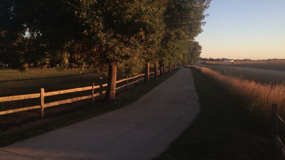 A paved pathway lined with trees and a wooden fence, leading through a grassy field.