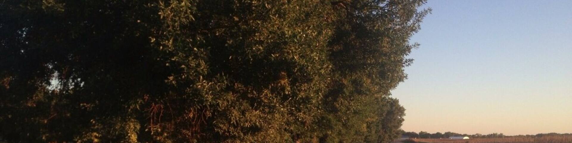 Beautiful bike trail that stretches for miles around North and South Twin Lake.