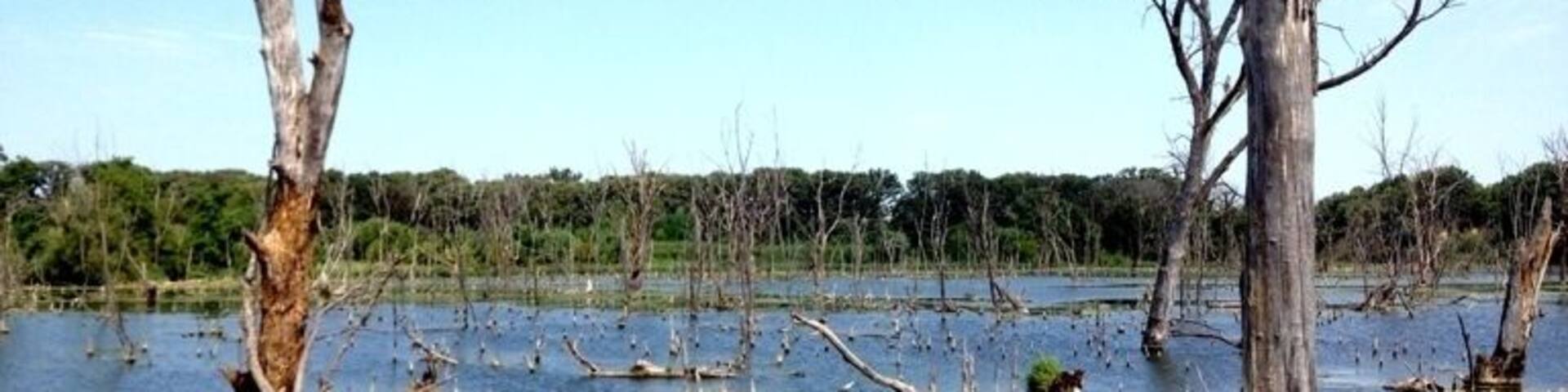 Hiking the wetlands of Brushy Creek State Park.
