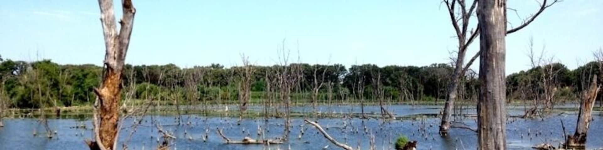 Hiking the wetlands of Brushy Creek State Park.