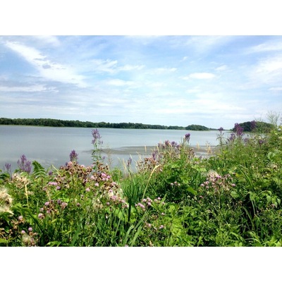 Small park and picnic spot on the shoreline of Rice Lake. Nice looking golf course nearby.