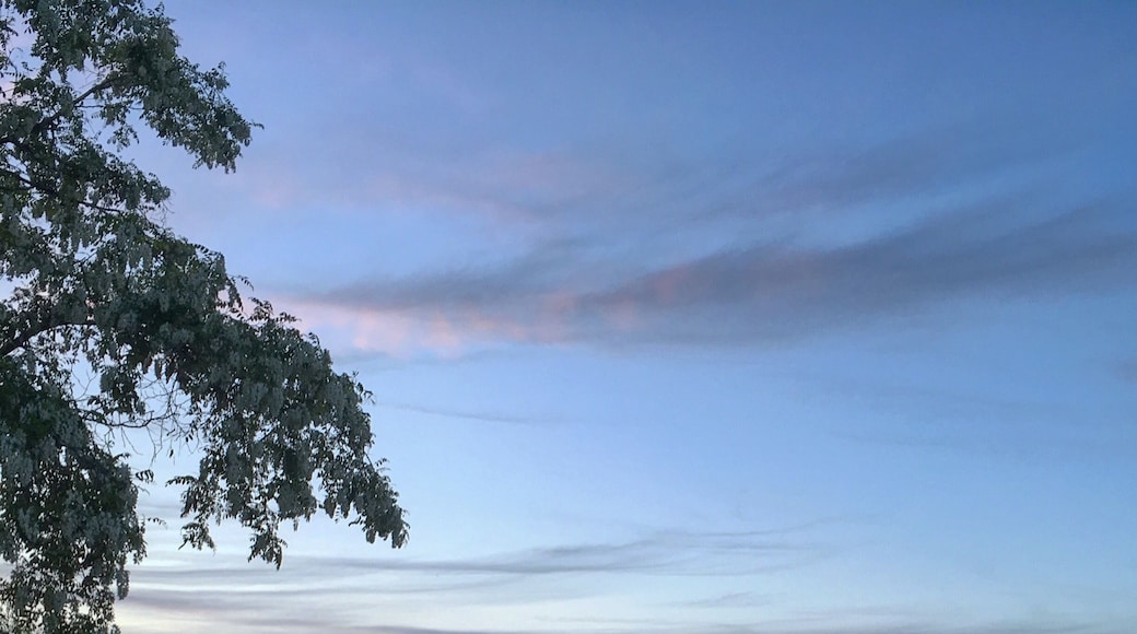 View from the Celtic knot restaurant in Lakeville MI, close to our campground in Adison Oaks county park #campground #michigan #lake #smalltown #sunset
