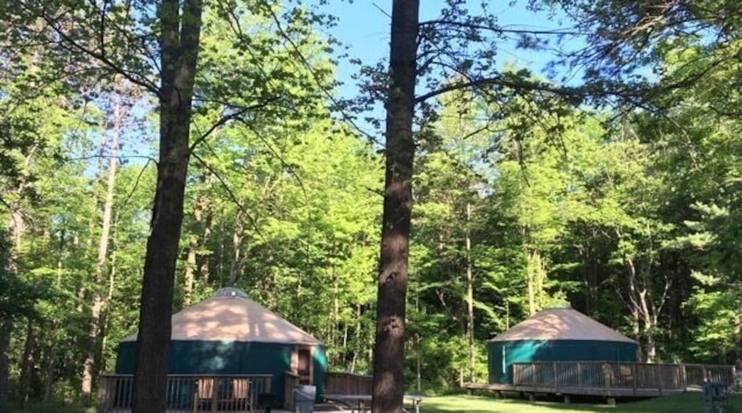 They now have yurts in Adison Oaks county park campground, nice trails and lake #campground #michigan #yurts