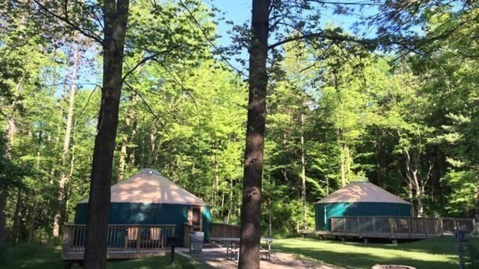 Two yurts in a forested area with a wooden deck and a picnic table.