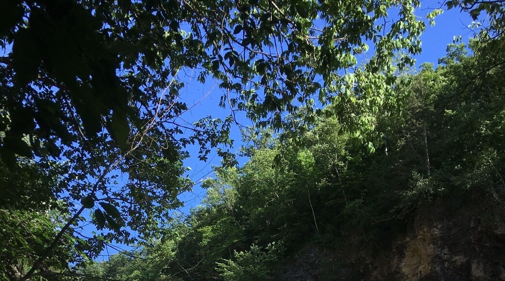 By Wisconsin -Minnesota border