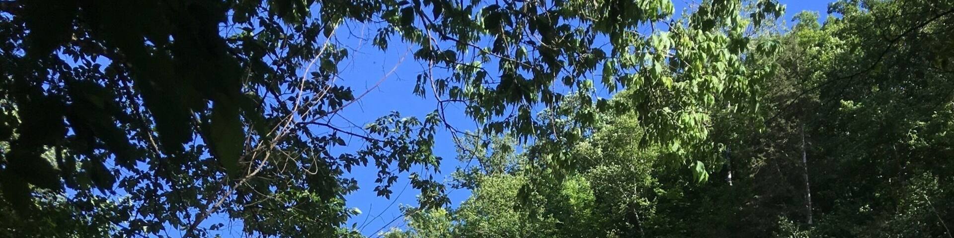 By Wisconsin -Minnesota border