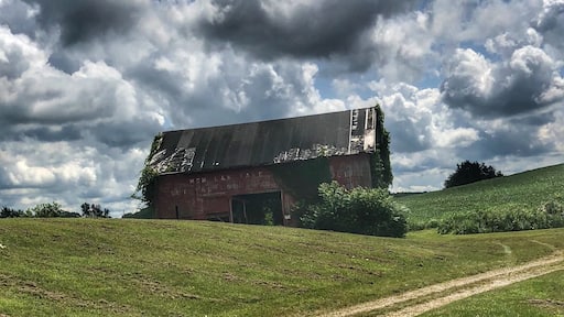 Just love old barns. This is off Hwy 12 in Michigan.