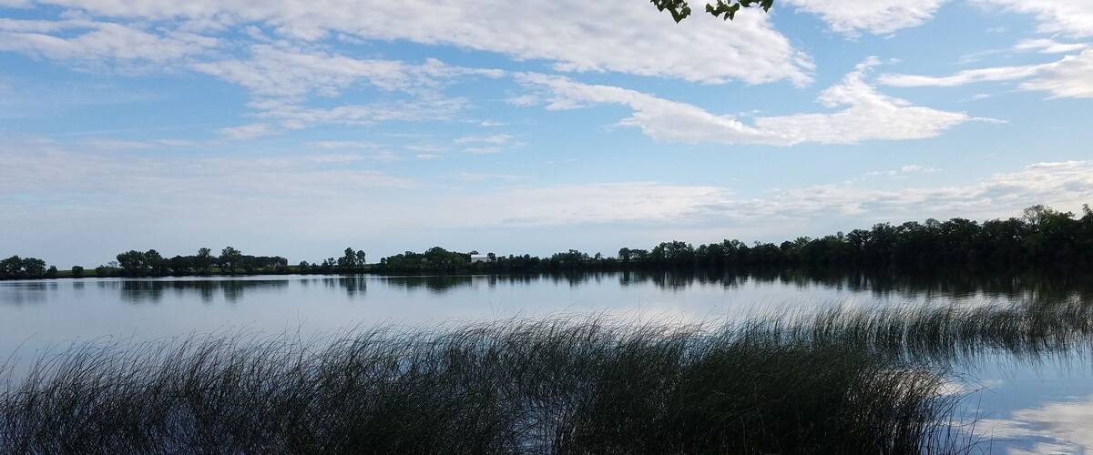 A calm lake with reeds in the foreground and trees in the background under a partly cloudy sky.
