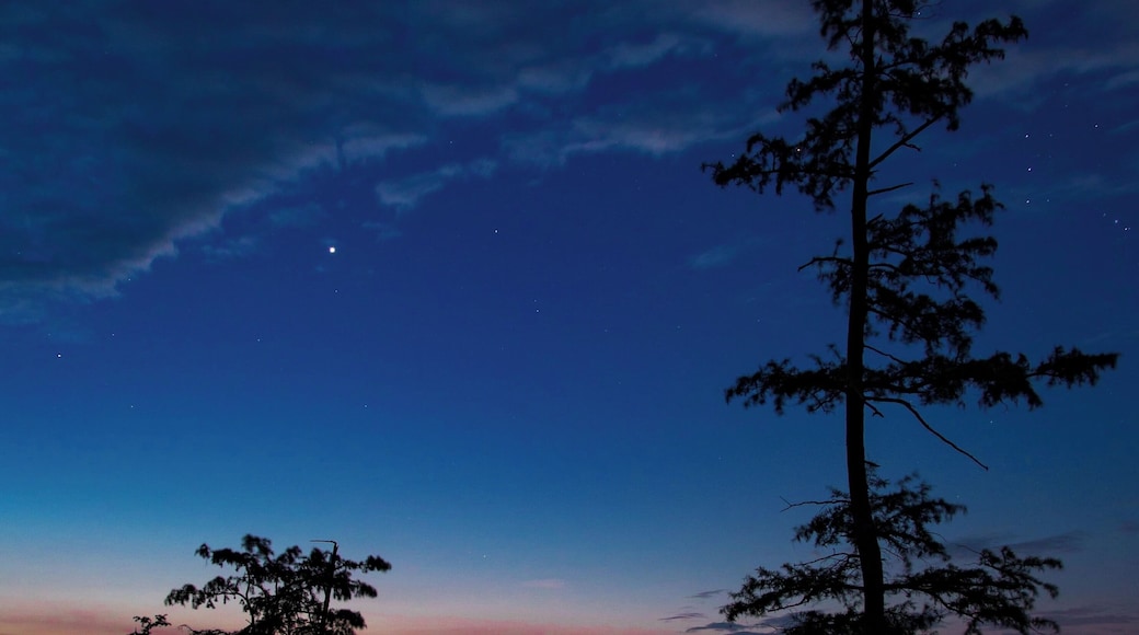 Great place for sunrises, Bald Eagles in the winter, and Milkyway shots.