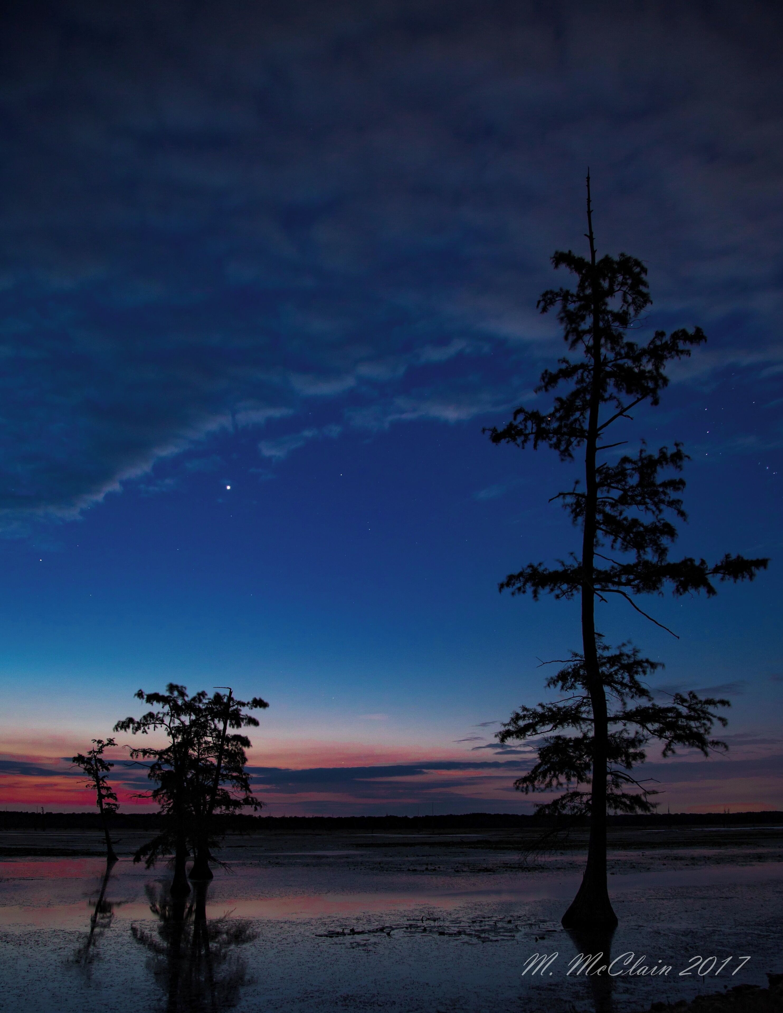 A night scene with a clear sky, a crescent moon, and two silhouetted trees against a twilight sky.