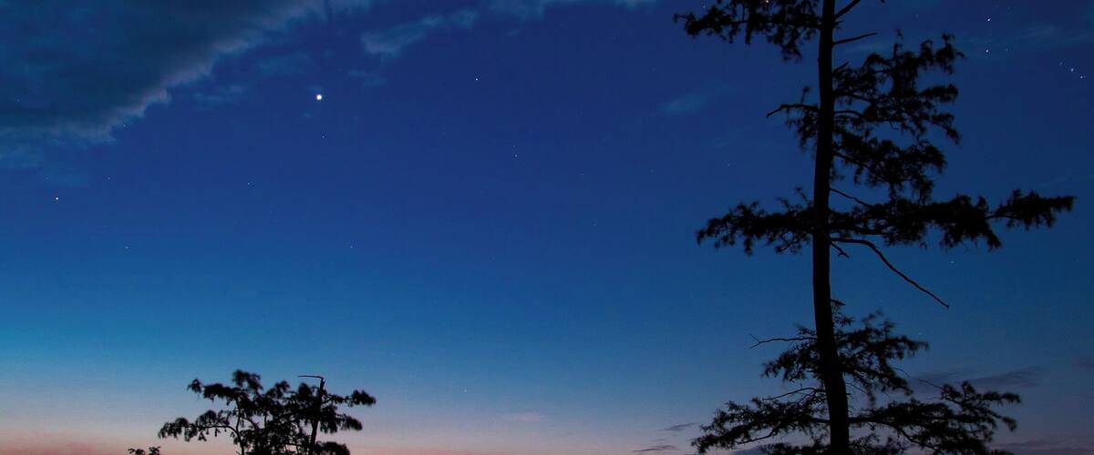 A night scene with a clear sky, a crescent moon, and two silhouetted trees against a twilight sky.