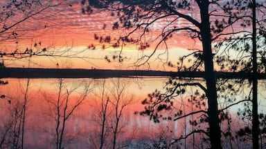 A sunset over a calm lake with silhouetted trees and a reflection of the sky.