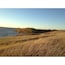 Golden prairie grass along the shorelines of the Lac Qui Parle, a widened region of the Minnesota River.