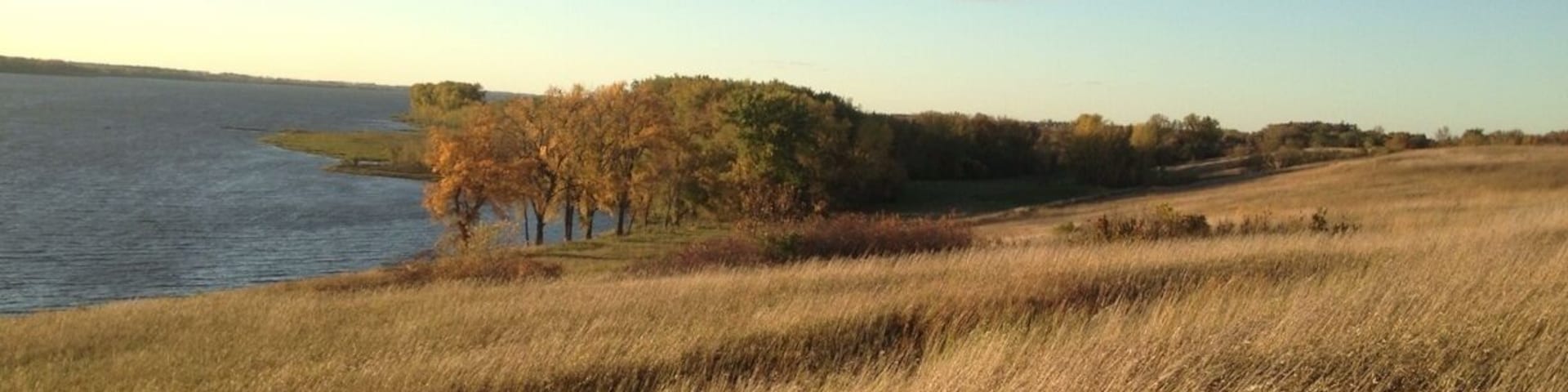 Golden prairie grass along the shorelines of the Lac Qui Parle, a widened region of the Minnesota River.