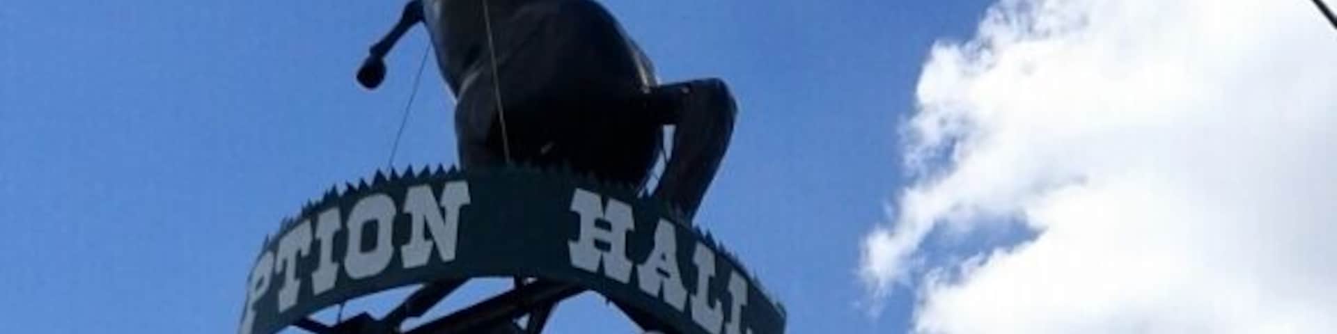 A sign for "Razy Horse" with a horse statue.