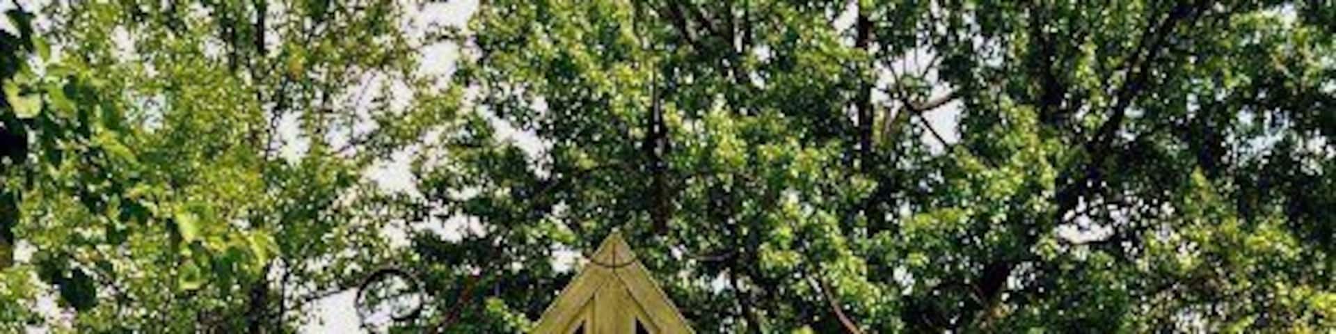 Mother and Daughter Antiques farm in the heart of Verona