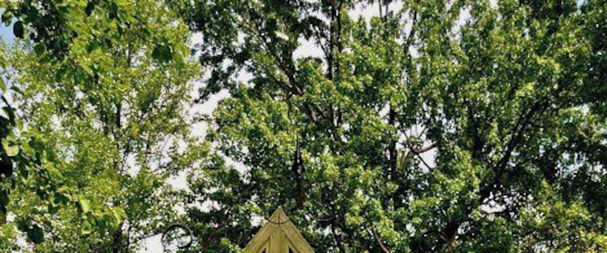 A rustic wooden garden structure surrounded by lush greenery and various gardening tools.