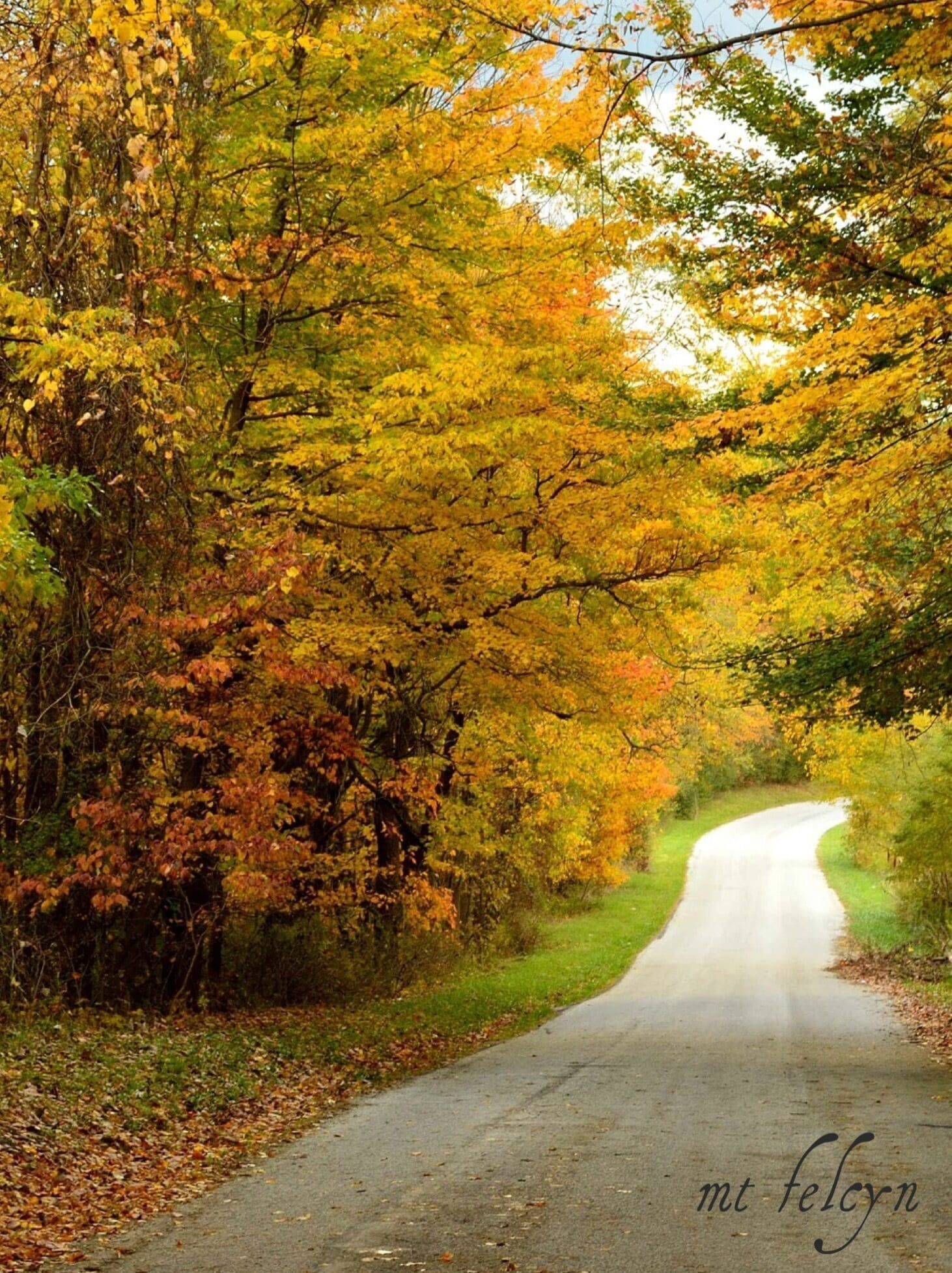 Just an old country road in East Canton Ohio