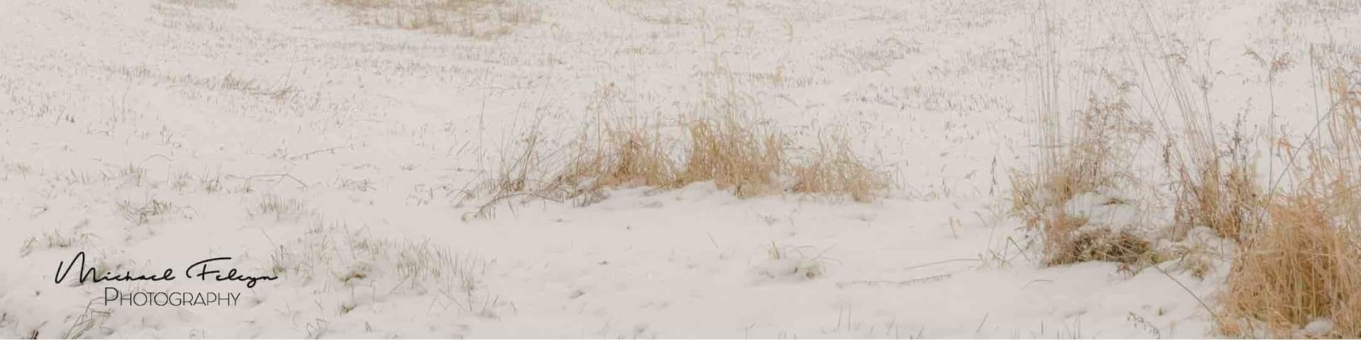 Scenic old barn in a light snow