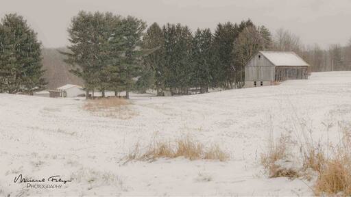 Scenic old barn in a light snow