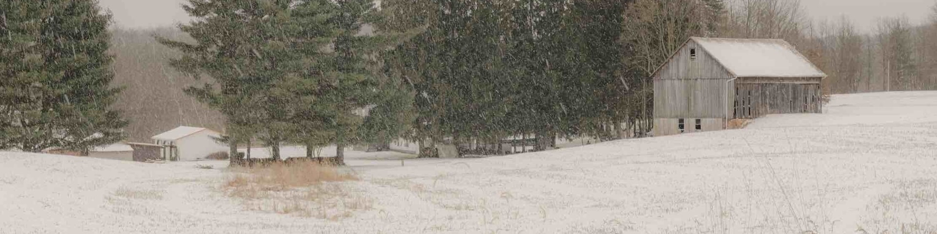 Scenic old barn in a light snow